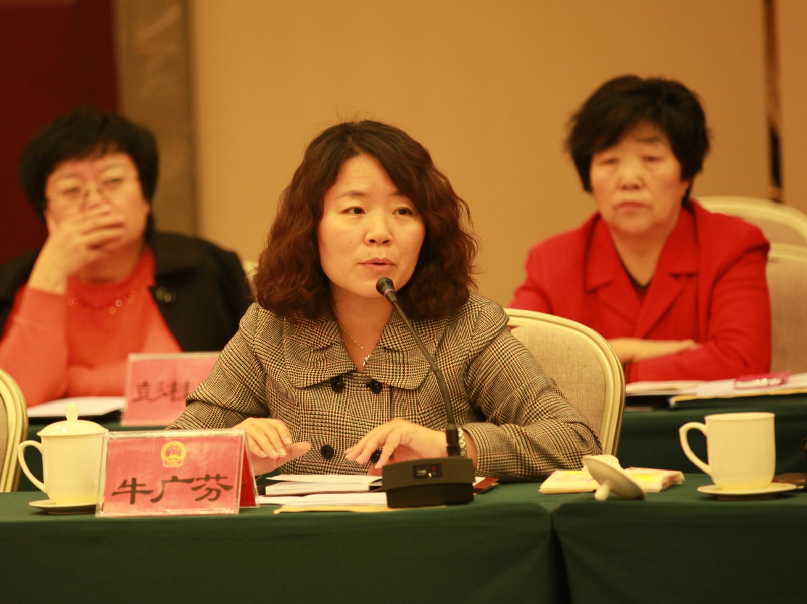 辛勤的园丁尽职的代表——访区人大代表、红螺寺中学副校长牛广芬.jpg