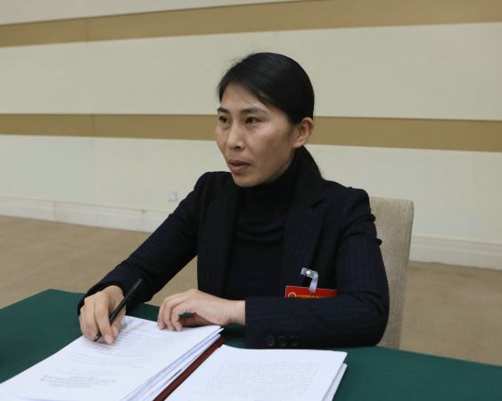 稳中求进，开创怀柔经济发展新局面——访区人大代表、区统计局综合科科长刘慧娟