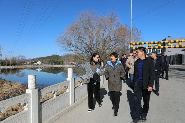 彭丽霞主任带队调研督办“关于提升怀沙河、怀九河、怀河行洪能力的议案”  办理工作