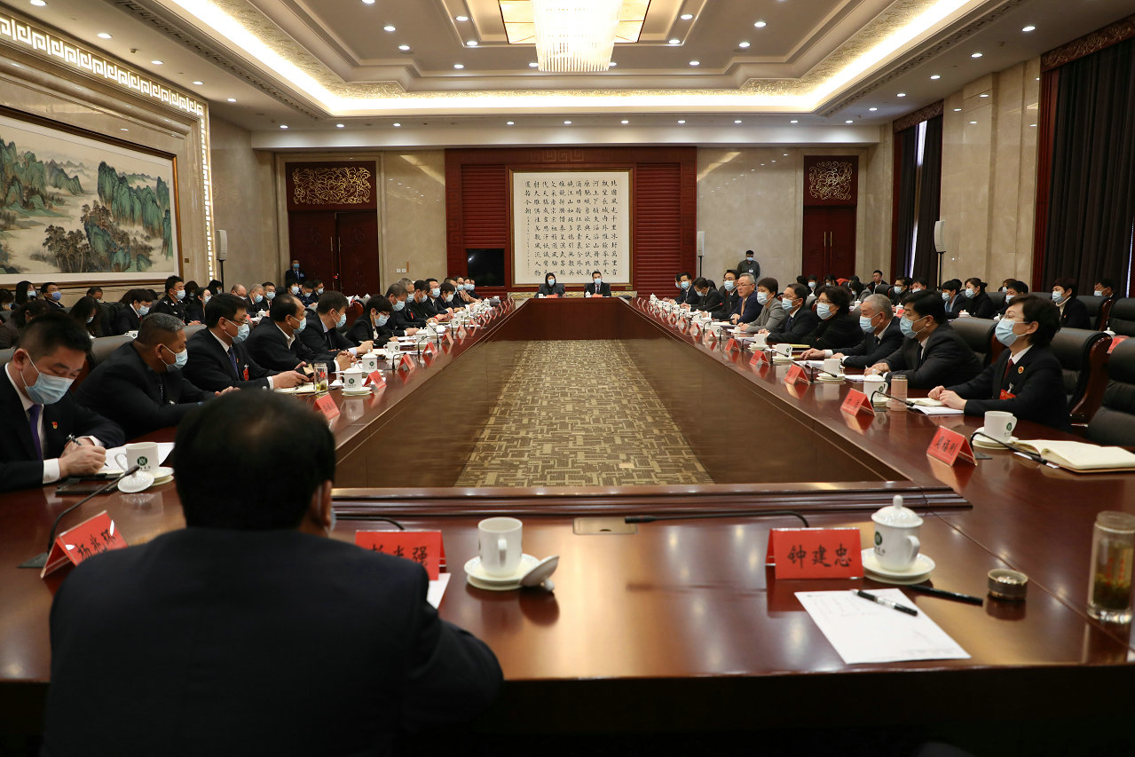 区人大代表审议区人民政府、计划、预算三个报告及“十四五”规划和二〇三五年远景目标纲要（草案）