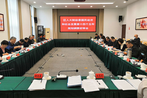 财经办组织召开“十四五”规划纲要初审会