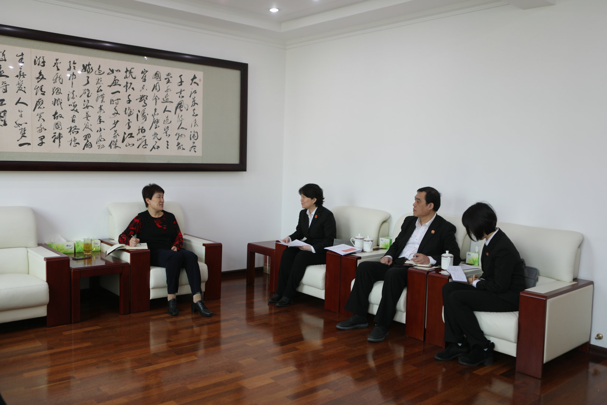 区人大常委会主任彭丽霞听取区法院工作汇报