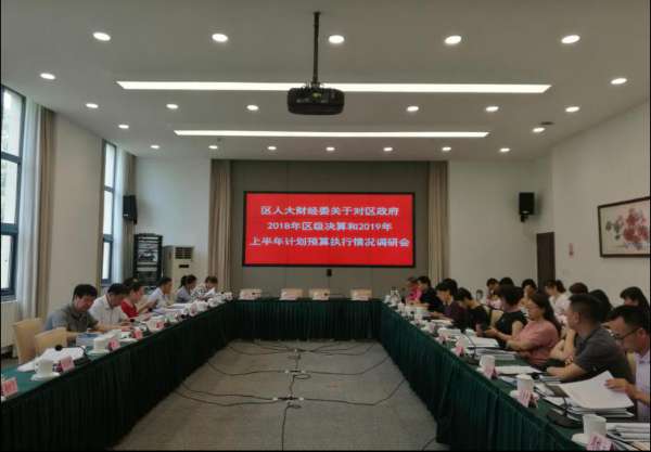 区人大财经委调研2019年上半年国民经济社会发展计划和预算执行情况