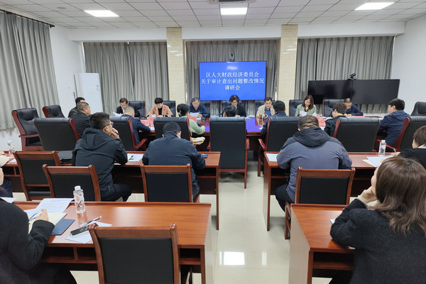 区人大财经委调研审计查出问题整改情况