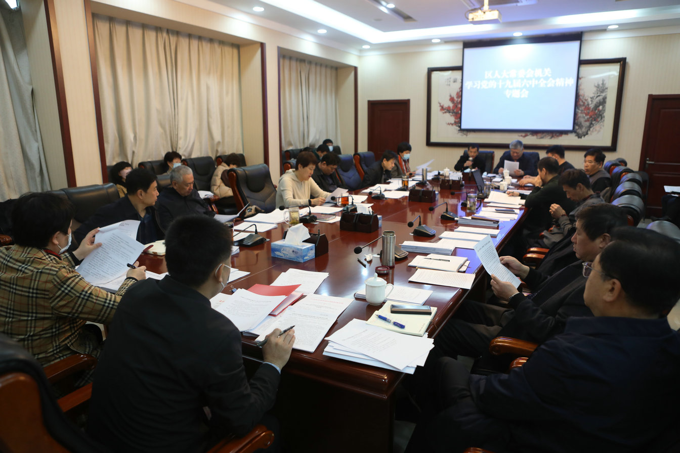 区人大常委会党组学习贯彻党的十九届六中全会精神