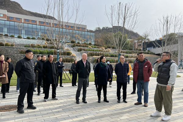 区人大常委会组织开展人大代表视察活动