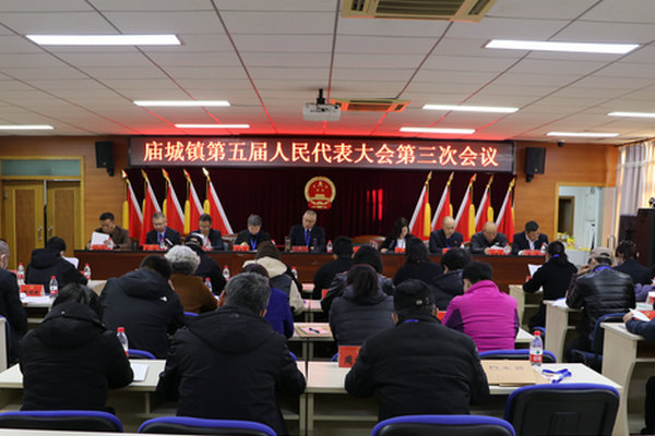 庙城镇第五届人民代表大会第三次会议胜利召开