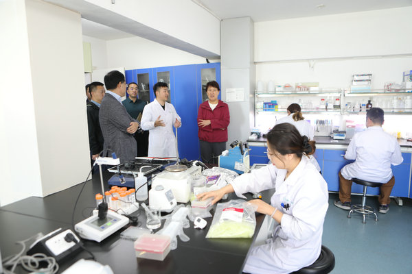 区人大常委会领导走访区内重点企业