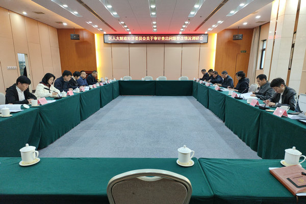 区人大财经委调研审计查出问题整改情况