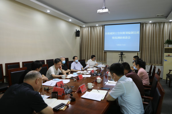 城建环保委调研我区乡镇域国土空间规划编制情况