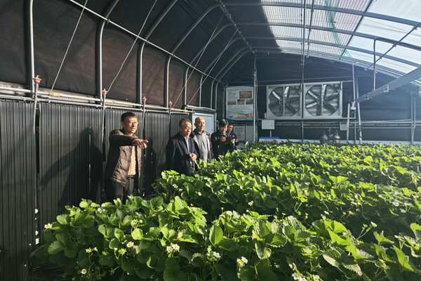 喻永刚副主任赴昌平区考察调研乡村振兴示范片区建设情况