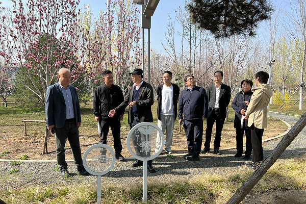 区人大常委会执法检查组开展《北京市市容环境卫生条例》贯彻落实情况执法检查