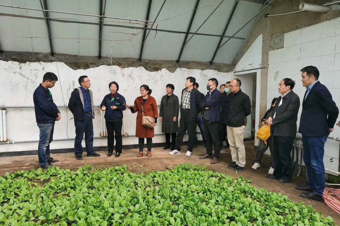 市人大常委会农村办来怀柔调研都市型农业发展工作