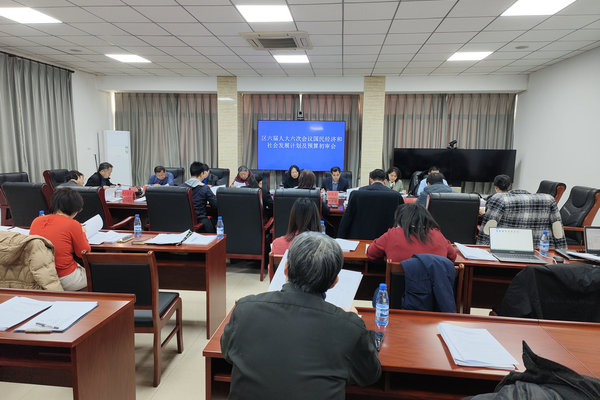 区人大财经委召开国民经济和社会发展计划及预算初审会