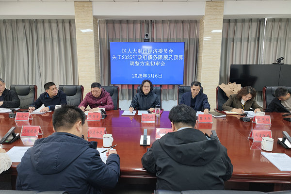 区人大财经委召开政府债务限额及预算调整方案初审会