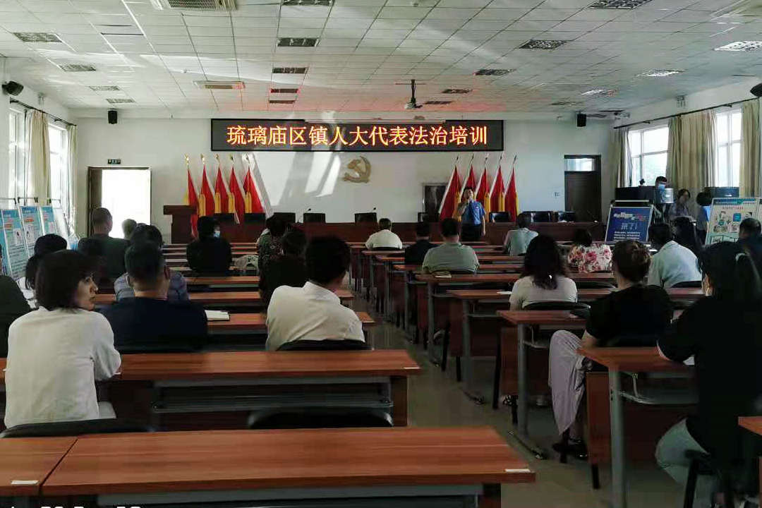 琉璃庙镇人大组织区镇人大代表法制培训 