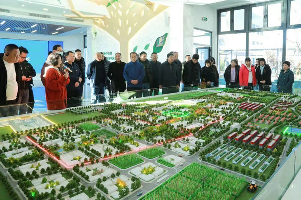 桥梓镇组织人大代表参观学习