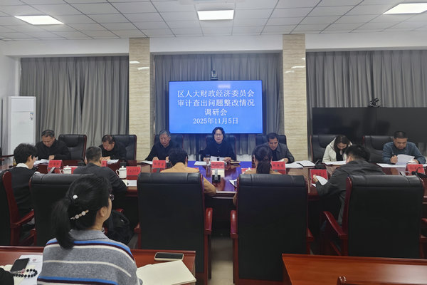 区人大财经委调研审计查出问题整改情况