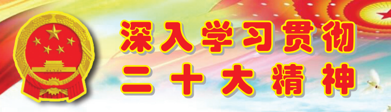 04.2 用坚定的信念追求推动基层人大工作的开展2.1.png