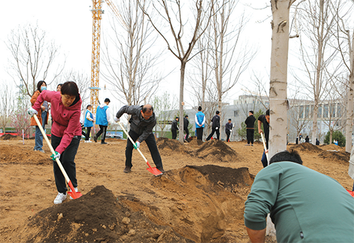 01 区人大常委会领导参加义务植树活动.png