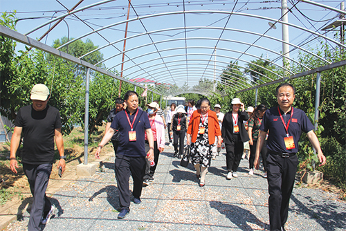 03 北房镇人大代表视察参观.jpg