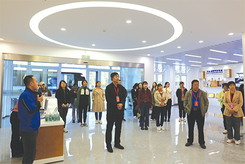 03 人大龙山街工委组织开展人大代表视察活动.jpg