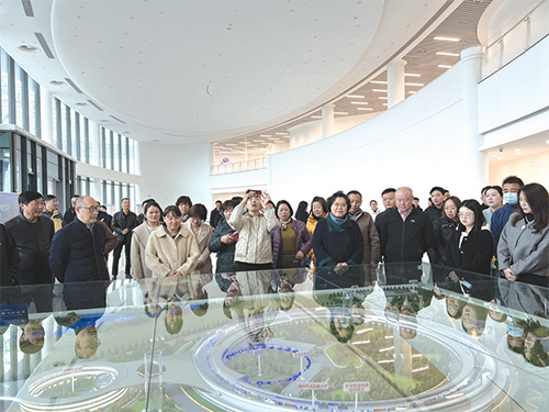 01 区人大常委会组织开展人大代表视察活动.jpg