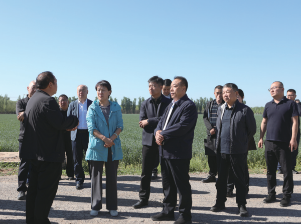 02 区人大常委会党组赴桥梓镇北房镇调研.png