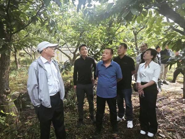 02 提升怀柔板栗品质工作开展调研.jpg