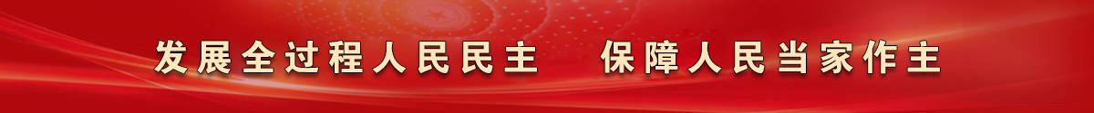 发展全过程人民民主 保障人民当家作主