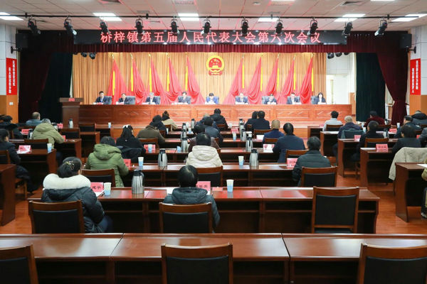 1桥梓镇召开第五届人民代表大会第六次会议.jpg