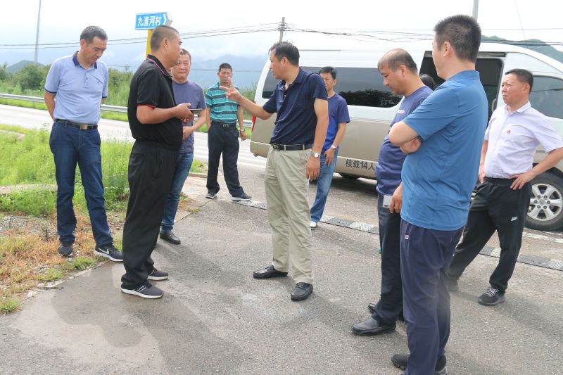 九渡河镇人大组织代表视察人居环境整治