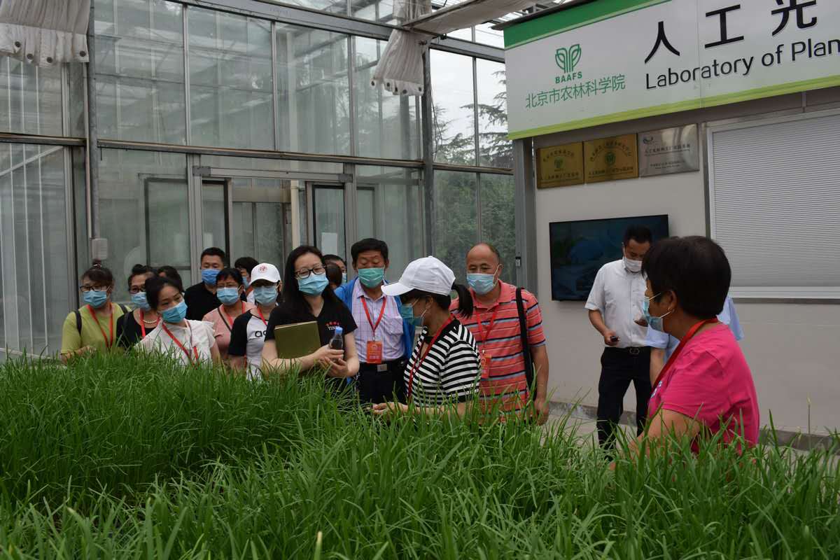 怀柔镇两级人大代表到农林科学院蔬菜研究中心参观考察