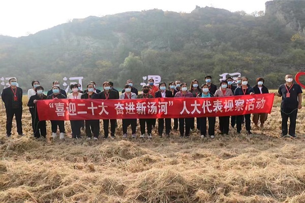汤河口镇人大代表开展集中视察活动