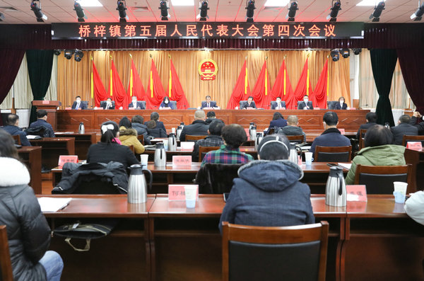 桥梓镇第五届人民代表大会第四次会议胜利召开