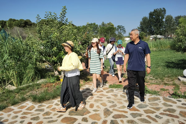 渤海镇人大代表参观文旅产业发展 建言乡村振兴