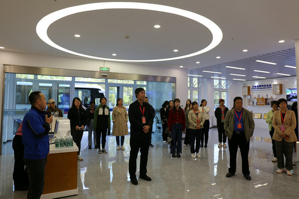 人大龙山街工委组织开展人大代表视察活动