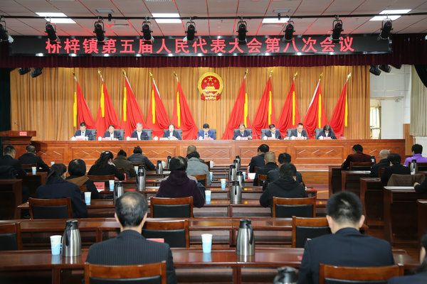 桥梓镇召开第五届人民代表大会第八次会议