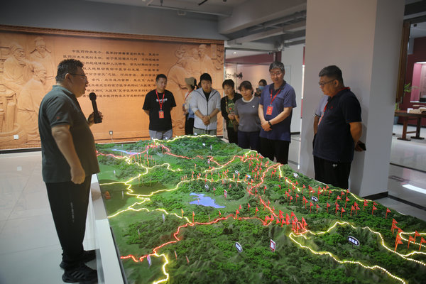 人大龙山街工委组织开展乡村振兴和产业发展视察活动