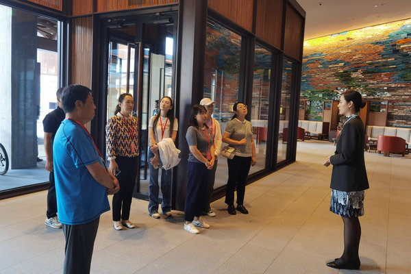 人大龙山街工委组织开展区人大代表专题视察活动