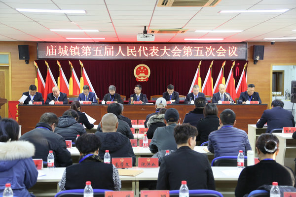 庙城镇召开第五届人民代表大会第五次会议